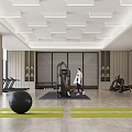 Modern Gym 3d model