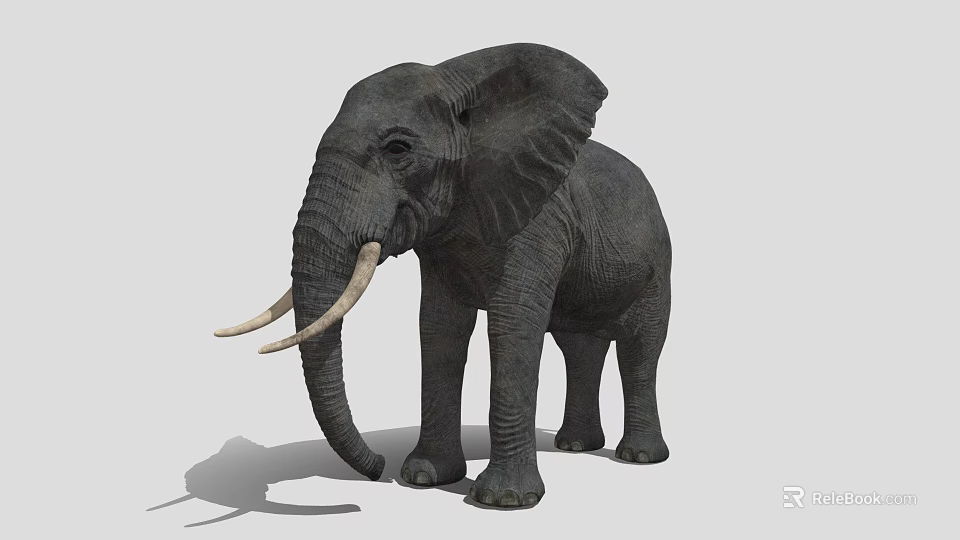 Realistic Gray Elephant with Large Tusks as Game Movie Character 3d model 