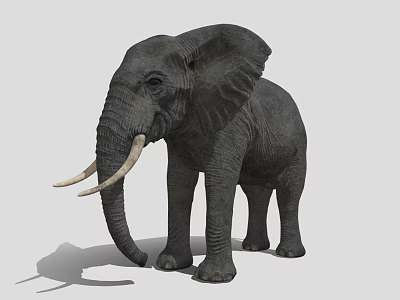 Realistic Gray Elephant with Large Tusks as Game Movie Character 3d model
