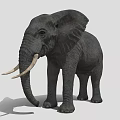 Realistic Gray Elephant with Large Tusks as Game Movie Character