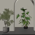 Indoor Bonsai Potted Plants Featuring Grey Cement And Black Pots In Archway Space