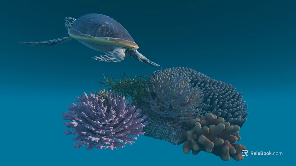 Sea Turtle Swimming Among Vibrant Coral Reefs In Underwater Marine Environment 3d model 