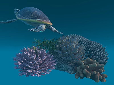 Modern Coral 3d model Modern Coral 3d model