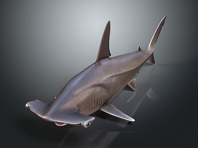 Modern shark great white shark whale shark hammerhead shark model