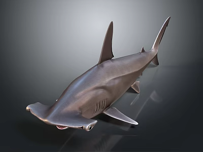 Shark As Aquatic Animal With Silver Smooth Skin And Streamlined Body Shape 3d model