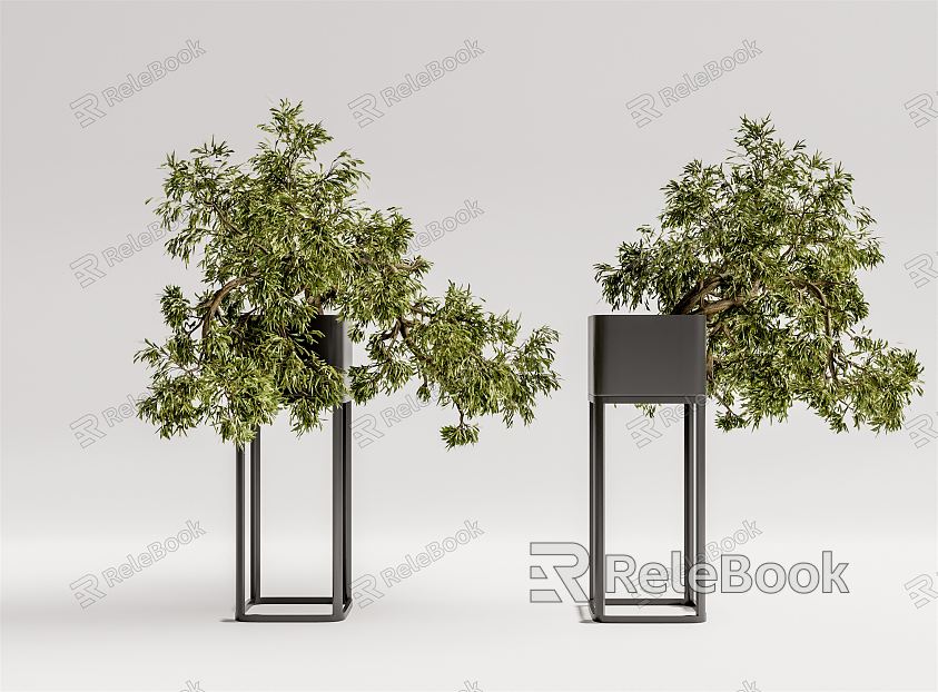 modern potted plant potted plant model