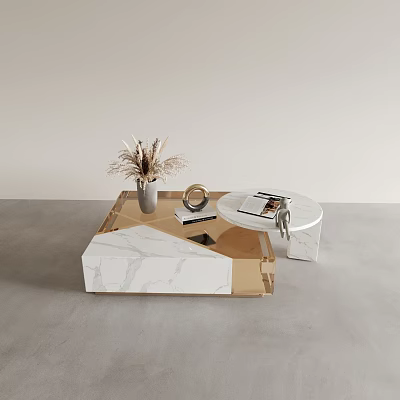 Modern Marble Coffee Table With Gold Frame And Dried Flowers In Vase Round Tray Magazines 3d model