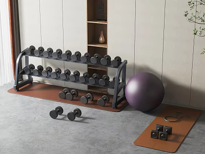 Sports Equipment In Home Gym Including Dumbbell Rack Purple Exercise Ball And Mats 3d model