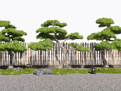 Japanese Arbor Trees In Garden With Bamboo Fence Stones Grass And Gravel Ground 3d model