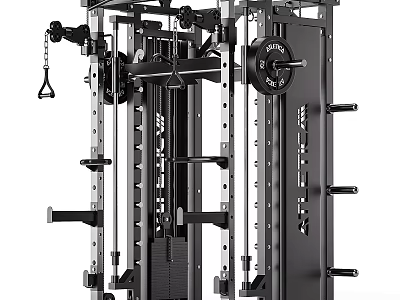 Professional Grade Multi Functional Power Rack With Weight Plates And Adjustable Bars For Home Gym 3d model