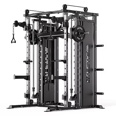 Professional Grade Multi Functional Power Rack With Weight Plates And Adjustable Bars For Home Gym 3d model
