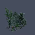 Diverse Garden Shrubs With Different Leaf Shapes And Decorative Stones