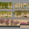 Lush Green Vines Decorating Wooden Wall With Hanging Foliage And Small Plants