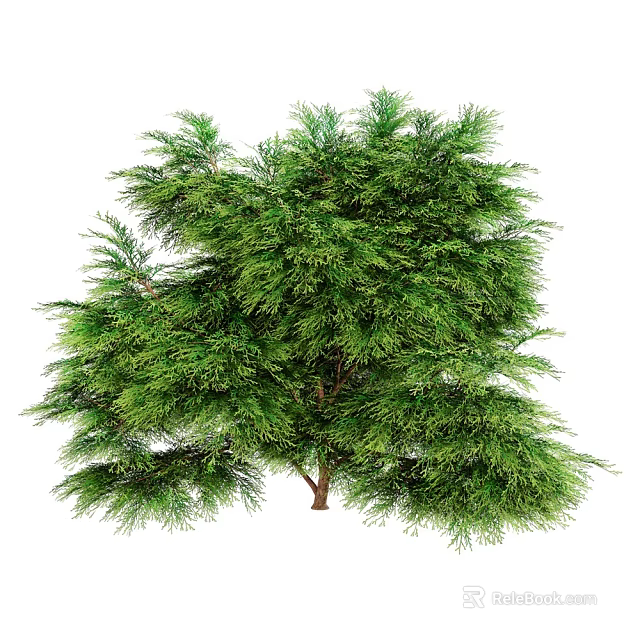 Lush Green Arbor Tree With Dense Foliage And Healthy Branches In Natural Form 3d model 