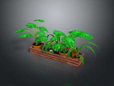 Green Leafy Plants In Wooden Tray With Large Foliage And Varieties 3d model
