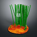 Green Bamboo Plants With Long Stems Growing On Orange Soil Base