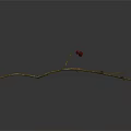 Dry Plant Branch With Thin Twigs And Small Red Fruits On Gray Background