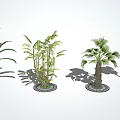 Various Arbor Trees Like Palm and Banana Arranged on White Background With Circular Bases