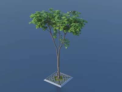 Arbor With Lush Green Foliage Slender Trunk And Square Decorative Base 3d model