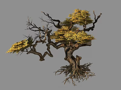 Unique Ornamental Tree with Twisted Branches Yellow Foliage and Exposed Roots 3d model