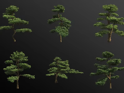 Different Shaped Arbor Trees With Various Forms For Landscaping Design 3d model
