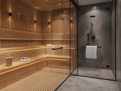 Modern SPA Sauna Interior Design With Wooden Panels And Glass Partition 3d model