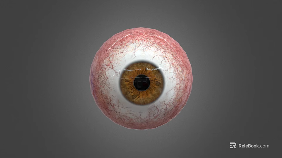 Detailed Human Eye 3D Model Showing Brown Pupil And Vascular Texture On Gray Background 3d model 