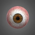 Detailed Human Eye 3D Model Showing Brown Pupil And Vascular Texture On Gray Background