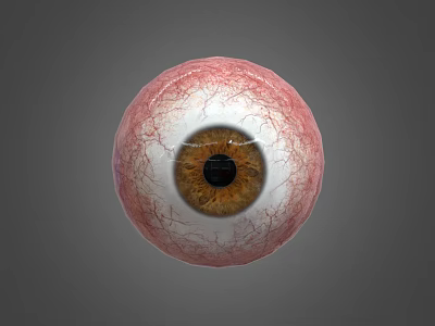 Detailed Human Eye 3D Model Showing Brown Pupil And Vascular Texture On Gray Background 3d model