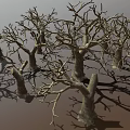 Dry Leafless Trees in Natural Forest Landscape with Shadowy Trunks and Branches 3d model