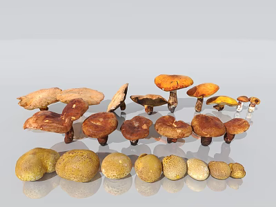 Cartoon Scene With Various Colorful Mushrooms And Round Potato Like Vegetables 3d model