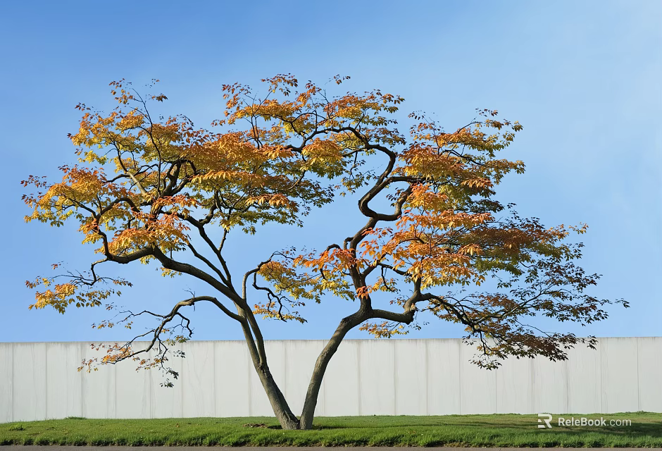 Curved Branch Tree With Orange Yellow Leaves Against Blue Sky White Wall Green Grass 3d model 