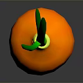 Fresh Ripe Orange Onion With Green Leafy Tops On Dark Surface