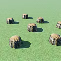 Six Tree Stumps With Light Colored Tops On Green Grass Field 3d model