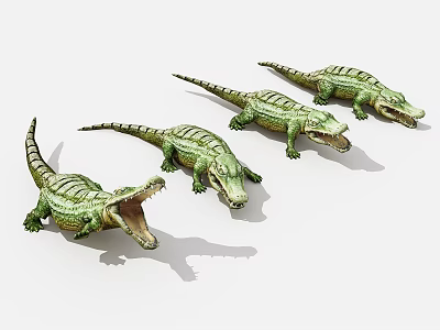 Four Green Crocodiles with Open Mouths Arranged in a Row with Shadows 3d model Four Green Crocodiles with Open Mouths Arranged in a Row with Shadows 3d model