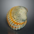 Orange And White Striped Seashell On Gray Reflective Background Surface 3d model