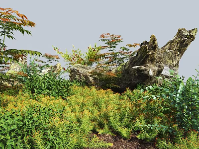 Natural Garden Landscape With Rock And Wooden Stump Surrounded By Green Plants And Orange Foliage 3d model