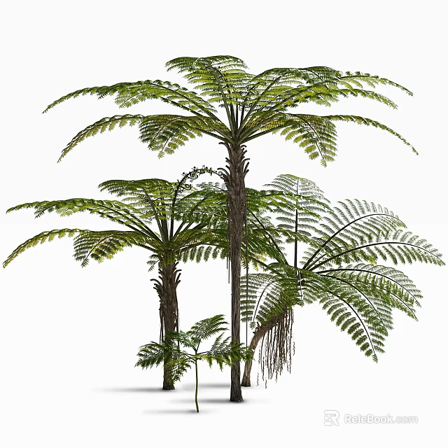 Tropical Trees with Lush Pinnate Leaves Aerial Roots and Trunk Details 3d model 