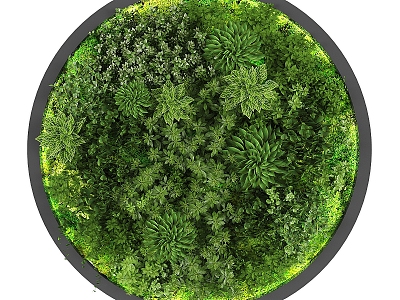 Plant wall 3d model