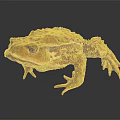 Brown Patterned Toad With Textured Skin And Large Eyes On Dark Background 3d model