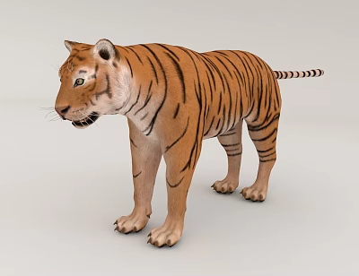 Tiger Beast 3d model