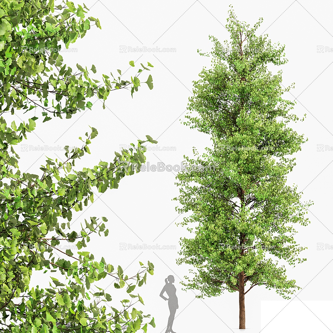 Modern Tree Landscape Tree 3d model