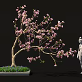 Bonsai Plant With Pink Blossoms And Elegant Branches In Decorative Square Pot With Stone Statue