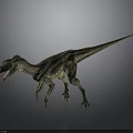 Realistic Velociraptor 3D Model Standing Pose With Open Mouth And Detailed Skin