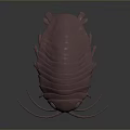 Realistic Pink Isopod 3D Model With Smooth Exoskeleton And Detailed Appendages
