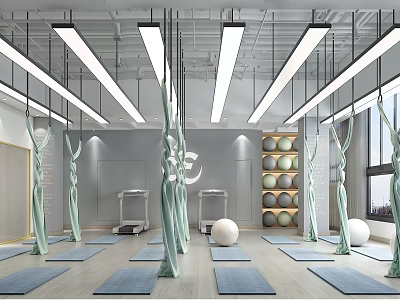 Modern Yoga Studio Interior with Yoga Mats Yoga Balls Mirror Walls and Strip Lights 3d model