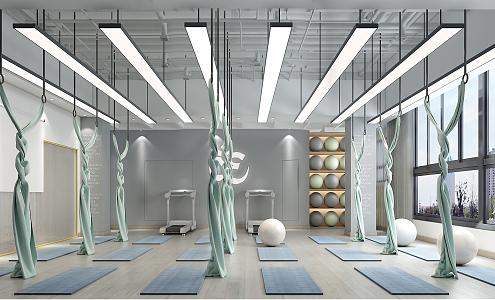 Modern Yoga Room 3d model