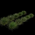 Decorative Green Grass Clumps With Various Shapes For Garden Landscaping Design