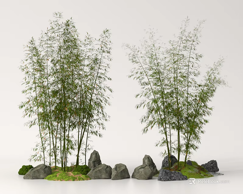 Tall Bamboo Plants Growing in Natural Landscape With Stones and Green Grass 3d model 
