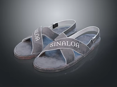 Gray Casual Sandals With Crisscross Straps And HOPE SINALOA Letters 3d model